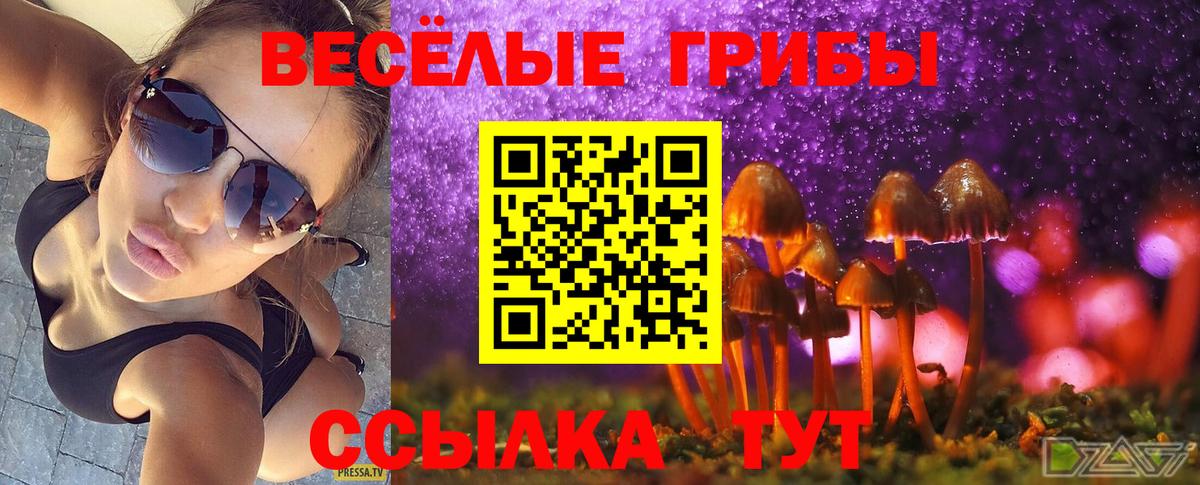 Псилоцибиновые грибы мицелий Майский